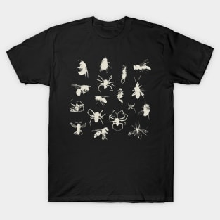 Bugs, wasps, spiders & earwig T-Shirt